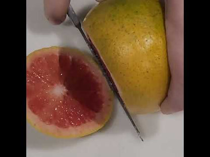 MB11 Marble Etch Remover – 170gms