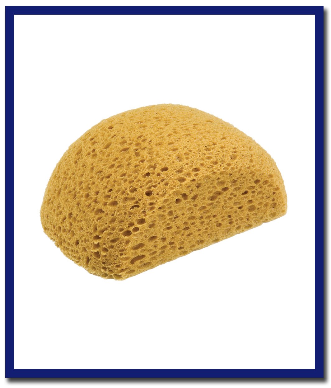 DTA Turtle Back Sponge (1 Pc) - Stone Doctor Australia - Cleaning Accessories > Sponges > Turtle Back Sponge